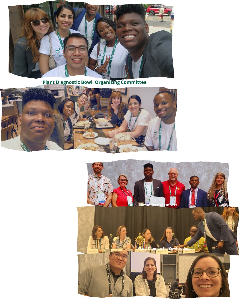 plantpathgrads's tweet photo. Gloves on, mystery samples down, timer running! 🌿 Congrats to the winners (Spore-thern team)! 🏆 Shoutout to all teams and past GSC executives for keeping this tradition alive. 
See you next year in Minnesota!

#PlantHealth2026 #PlantPathology #APSGSC #APS https://t.co/oluocz1LLM