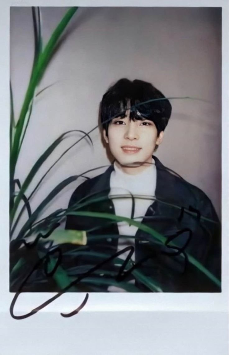 minwonflz's tweet photo. https://t.co/g2plKH8Kq8