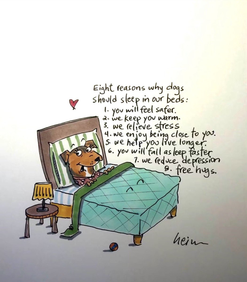 LolaPatolla's tweet photo. Still just a few left!!!
Pop up fund raiser for Winnie n pups with the amazing @JohnHeim !!!
Pup in Bed Drawing!
$55 donation- $25 to artist, $25 to Winnie, $5 postage 🩵.
Donate &amp; write Heim drawing + your mailing address if interested!!!
https://t.co/luSDjOC2vX https://t.co/abYsV948h2