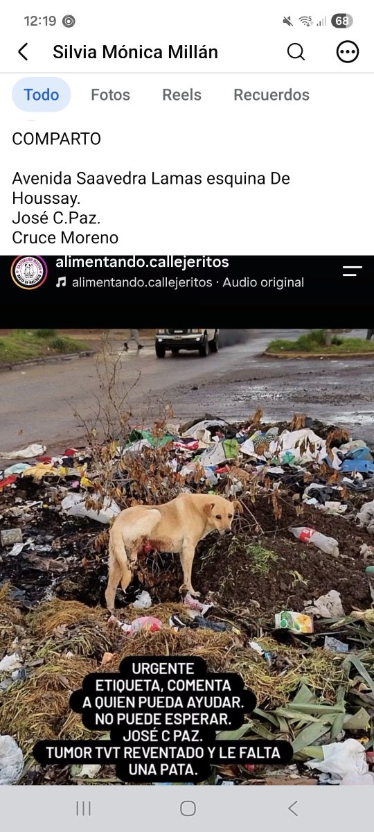 millanneururer's tweet photo. https://t.co/tM0tInKqTy