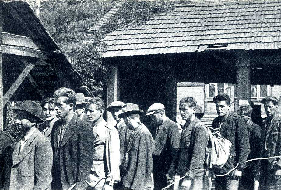 DrustvoHudajama's tweet photo. Partizani so 700 ujetnikov z gradu Turjak zvezane, ozmerjane in pretepene odgnali v komunistično smrt.

Zvezane ujetnike so uvrstili v sprevod proti Velikim Laščam. Spredaj je peljal tank s partizansko zastavo, za njim je šla »častna četa« partizanov s harmoniko. Sprevod je ob cesti gledalo veliko dobrih ljudi. Ženske so jokale in zvezanim skušale dati vode, pa jim partizani tega niso dovolili.

V Velikih Laščah so partizani ljudi sklicali k proslavi velike zmage. Partizanke so si izbirale žrtve. Po sramotenju zvezanih so jih odgnali v silose pod postajo. Porinili so jih na tla. Niso jim dali ne hrane ne vode.

Na Turjaku je partizanski oficir umoril 28 ranjencev.
https://t.co/m58c5NWh8W