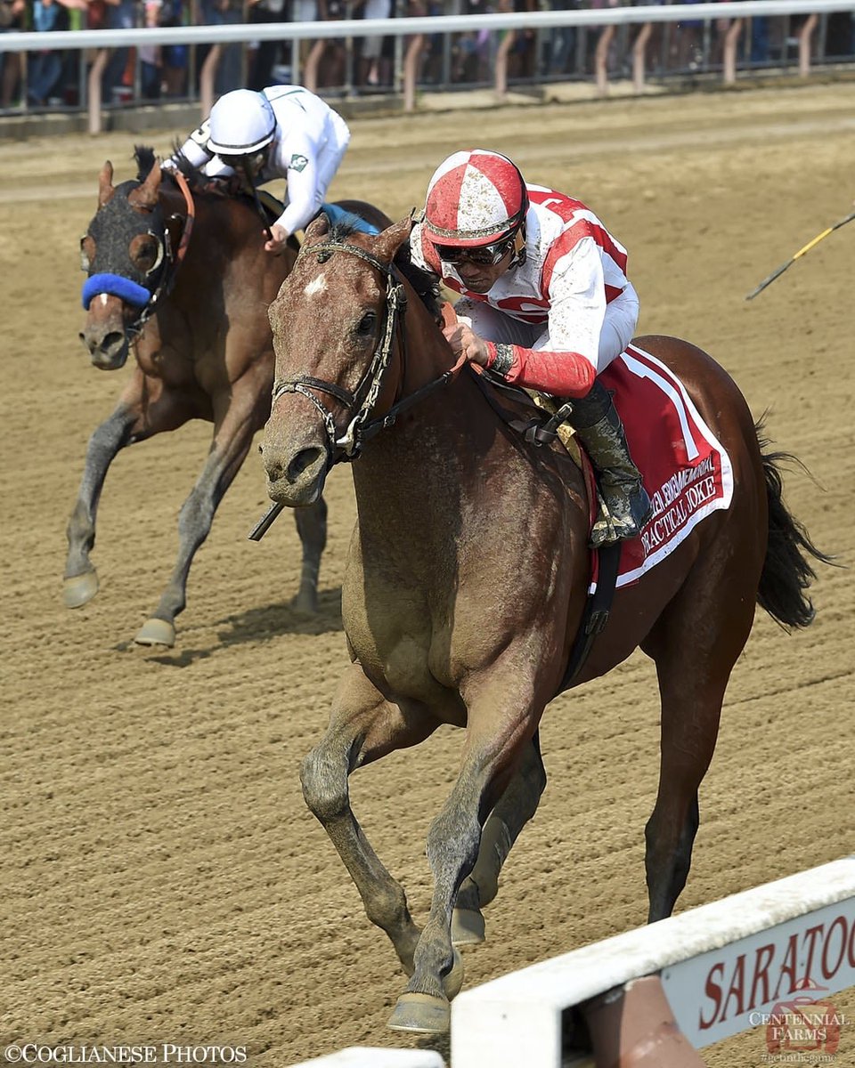 Centennial_Farm's tweet photo. It's #Travers Day in #Saratoga... and H. Allen Jerkens Memorial Day! DYK that the sires of BOTH of our #FTSar purchases won the prestigious race, though Hard Spun did so under its previous name? He and Practical Joke are world-class sires. #getinthegame: https://t.co/eTVZwZsVsO https://t.co/xIJ8ktE9iM