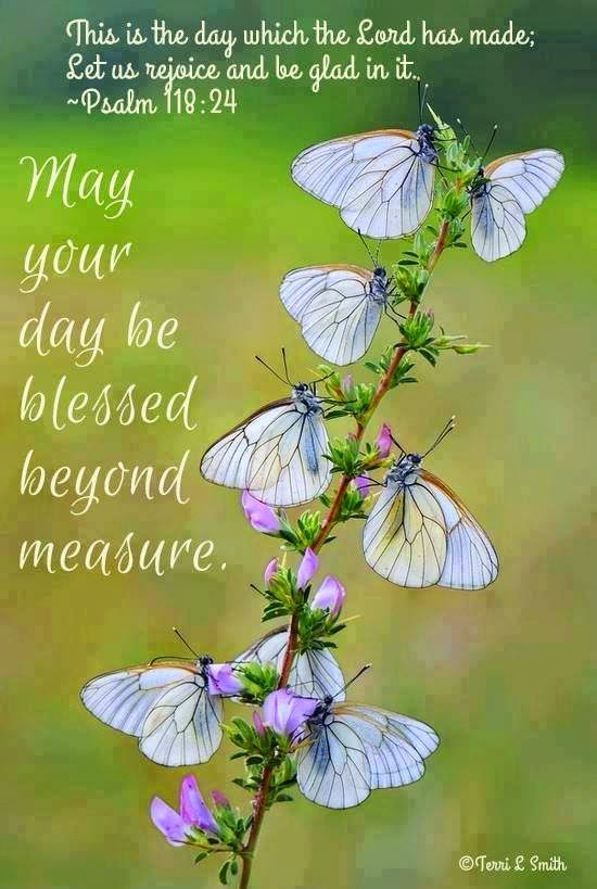 Catangels's tweet photo. Psalm 118:24† https://t.co/h0DUqjBZVR