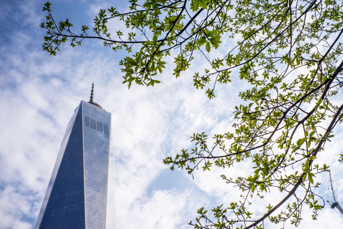 Sept11Memorial's tweet photo. On September 11, 2001, the sky across the U.S. was crystal clear. 25 years later, #RemembertheSky encourages us to actively recall and reflect on the significance of that day and how we responded—with unity, resilience, and hope. 

Join us in ensuring that the stories of 9/11 and the memories of those who were killed live on for those too young to remember, and together, let’s uphold our commitment to never forget.

Learn more: https://t.co/6sxR5eLLDF