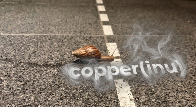 CopperInuRH_'s tweet photo. We are closer than you think (inu) https://t.co/q7eemTw5We