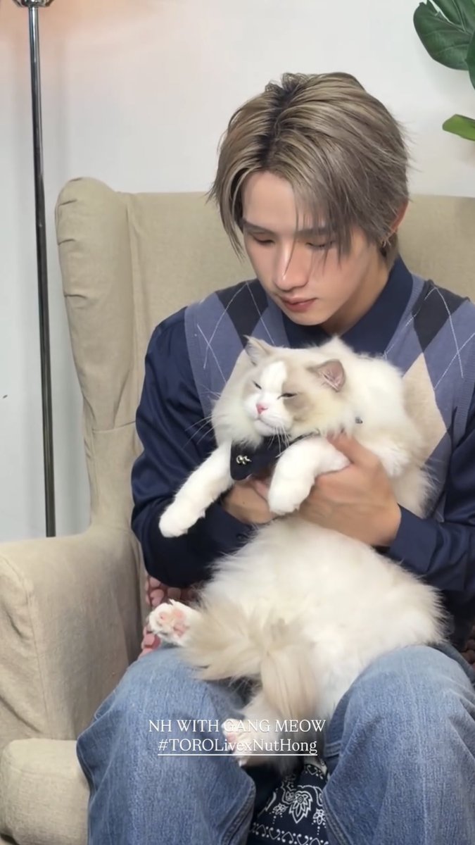 dodonat's tweet photo. แล้วเหมือนกันขนาดนั้นได้ยังไงอะ โมจิยูกิไลฟ์แอคชั่นมากกกกกก https://t.co/xGJdWTR1ow