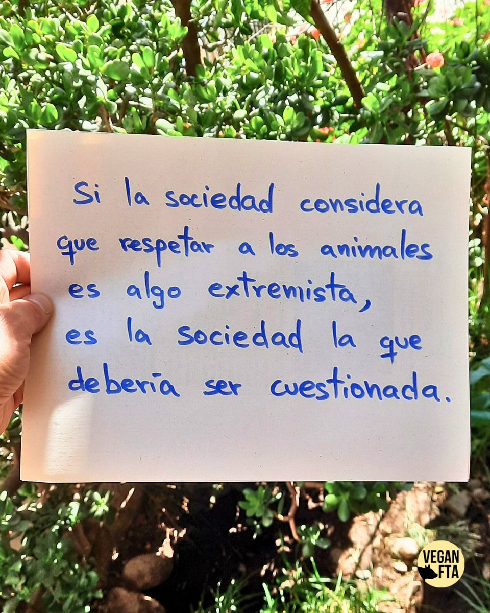 VeganFTAEspanol's tweet photo. ¿Es "exagerado" respetar la vida ajena? 😳

¿Necesitas apoyo en tu transición al veganismo? 👉 https://t.co/4u8Hg3A3KM

#animales #respetoanimal #derechosanimales #extremos #goveganfortheanimals https://t.co/2WCnHJN2aP