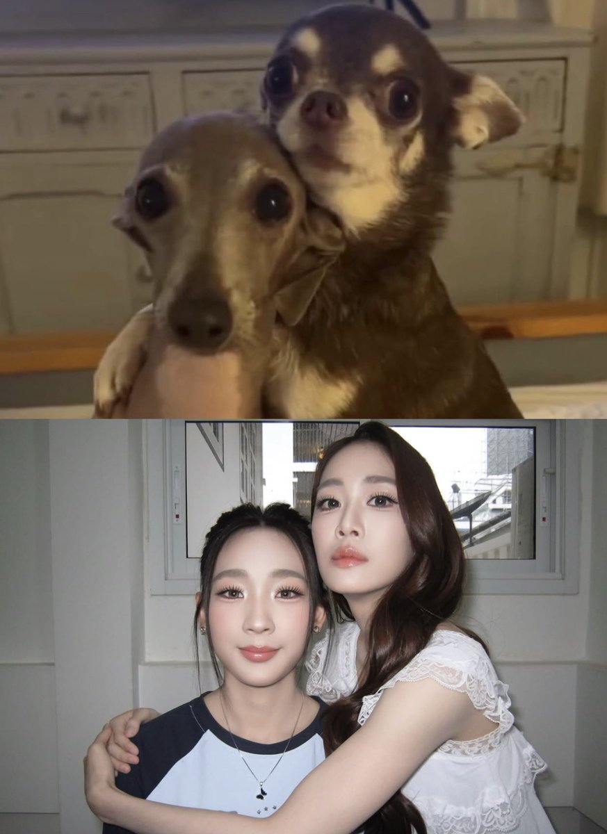 bananapukpik's tweet photo. เหมือนแม่ลูกอะ5555555555555 https://t.co/2yiteS9M7T