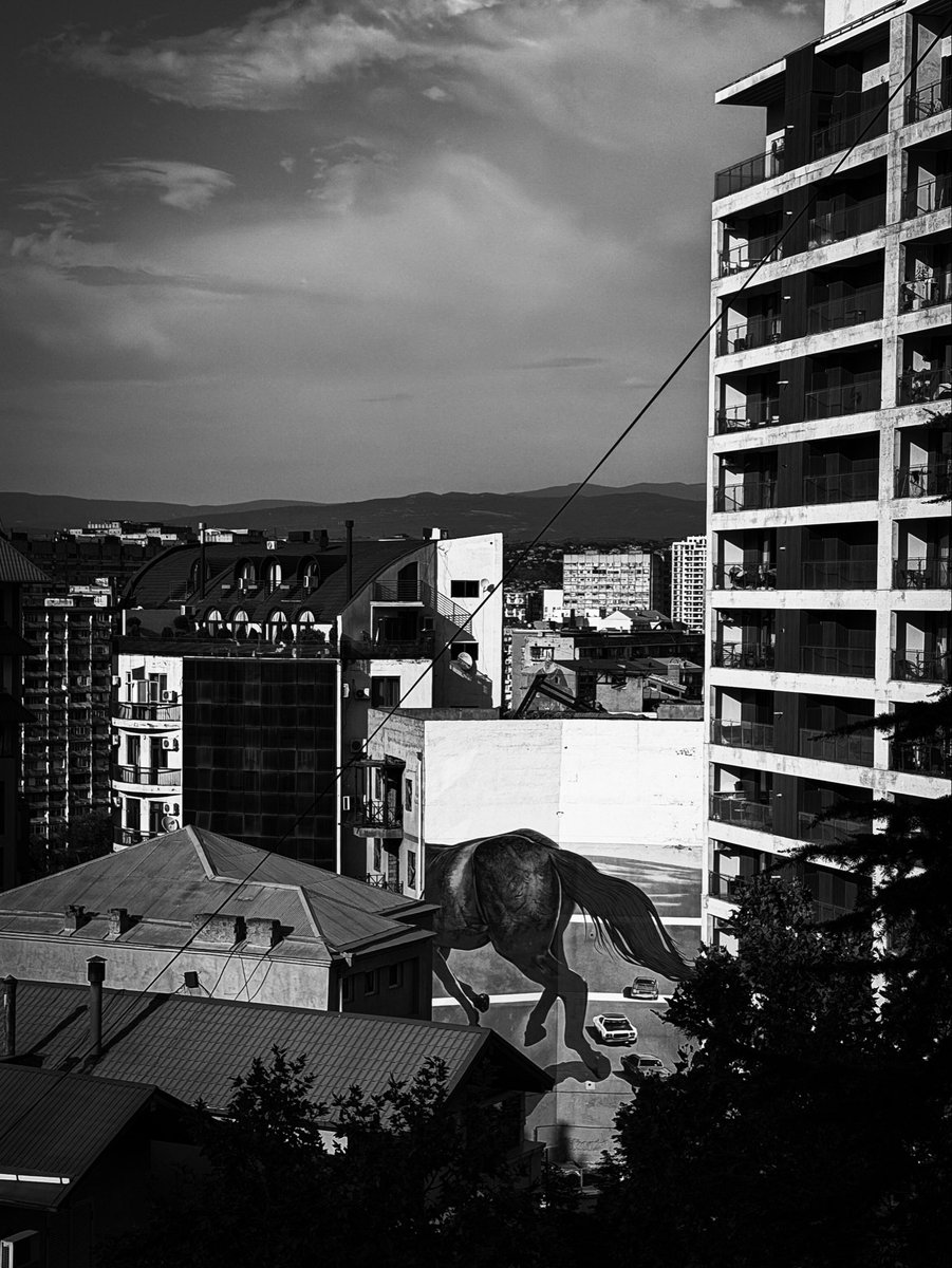 Emmagikk's tweet photo. #everyday0603pm
A photo every day at 6:03 p.m.
since 08/08/2021
#everyday0603pm - Photo 1852th
#everyday #onedayonephoto
#everydayonephoto #photooftheday #blackandwhitephotography #blackandwhite #photo #photography #addicted_to_bnw https://t.co/OhiVAjJSnr