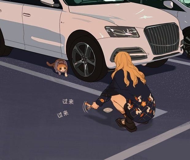 FrameKatya's tweet photo. @FrameJeremiah NOOOO... what happened... kalau boleh tau? ada, kak! lihat ini tadi aku ketemu dengan kucing imut. https://t.co/dlHgEJPt2w