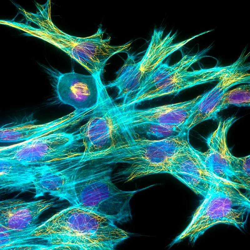 NightSkyToday's tweet photo. 🚨: British physicists discovered quantum effects inside brain neurons that may actually explain human consciousness entirely.  

Consciousness is quantum in nature! https://t.co/99Igun1mKd