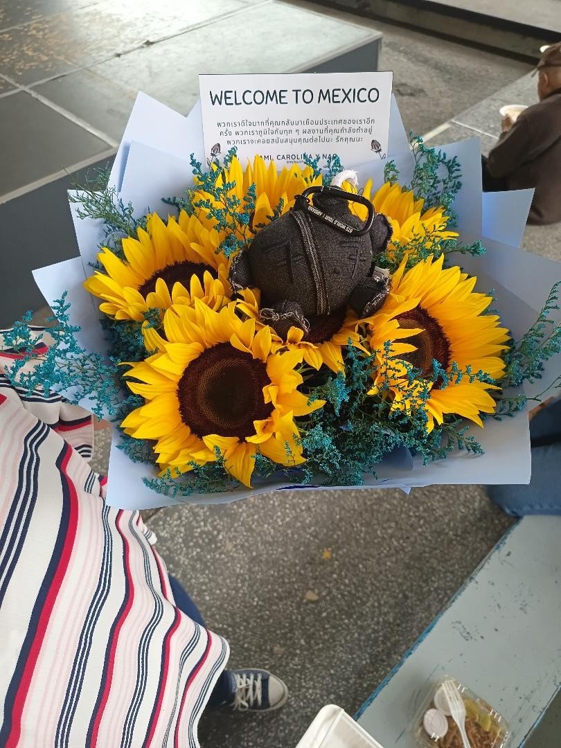 mckamty's tweet photo. Le enviamos un ramo de flores a Mcka. 🤍
🌻Girasoles:
Regalar girasoles expresa admiración profunda, deseo de éxito, alegría o el mensaje de que la otra persona es una "fuente de luz" en la vida de quien los obsequia.
Muchas gracias a #mckadee por salir a recibir el ramo 🌻 https://t.co/LD5uIqKMW1