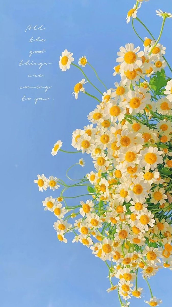 FLOWERS3700's tweet photo. https://t.co/1LKO4pSbbA