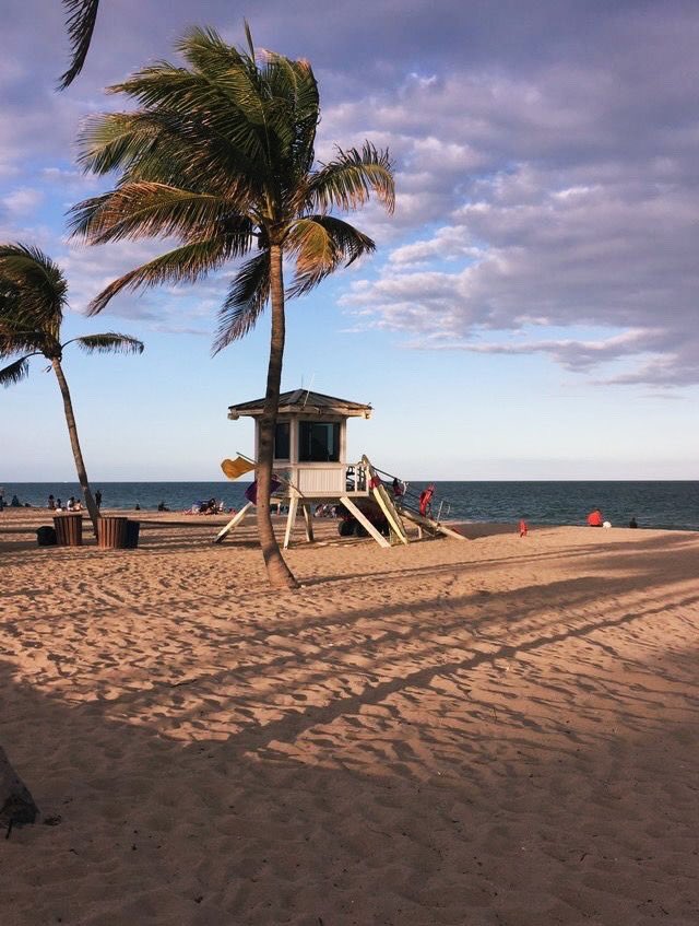 ReedGrecia's tweet photo. 🌴💁‍♀️✨ https://t.co/oHvBz7gsUF