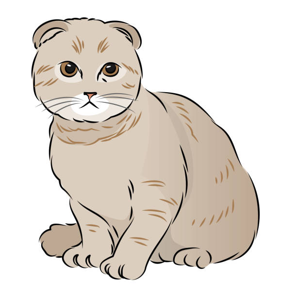 hasararmpp63's tweet photo. 多分大学生くらいに一人暮らし祐介の限界っぷりを見ていられなくなって一緒に暮らし始めるんだろうな(インフラ止まる、終わりの食生活、規則正しくない生活) https://t.co/ESs5Rdw20o