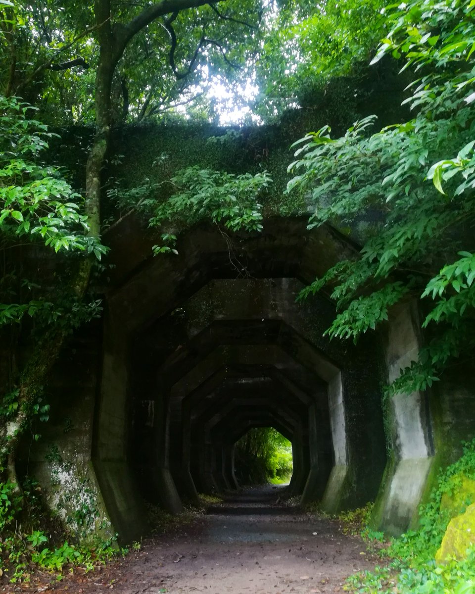 Re69831's tweet photo. #見た人もなにか無言で熊本をあげる https://t.co/xsn6yxHyVy
