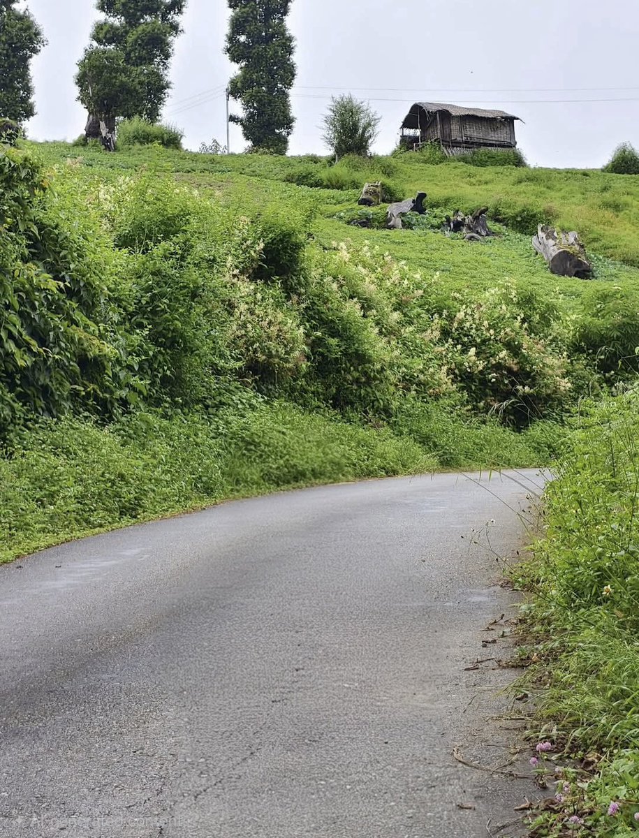 talokena27's tweet photo. Captured by her 📸❤️ Old-world charm, slowly fading away. #Damkho https://t.co/mJvplekGPn