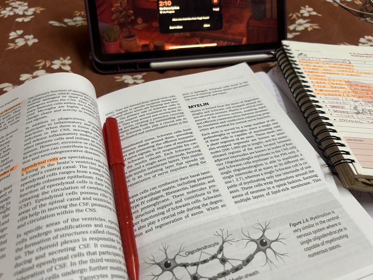 BangtaniesText's tweet photo. Late-night study sessions hit different. ☕📚 Currently diving deep into neurobiology. 🧠
If this popped up on your feed and you're grinding through homework too, reply with what subject you're working on. Let's stay motivated! 👇✨
#study #biopsychology #neuropsychology https://t.co/WhzBKTi52D