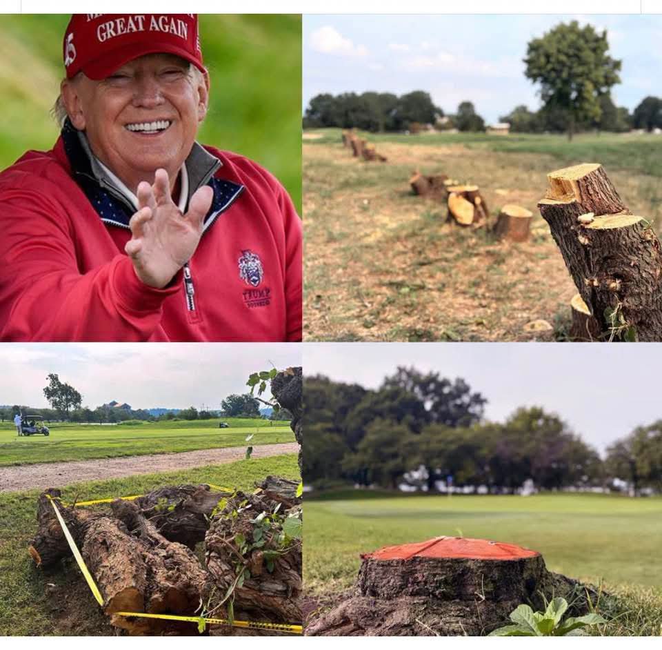 OlenaRohoza's tweet photo. Trump just illegally cut down SIXTY historic cherry trees in Washington WITHOUT court authorization in order to “renovate” a GOLF COURSE!

We already know that he is obsessed with destroying everything good in this world… But we must not become accustomed to this lawlessness and desecration.

The Washington Post reported that Trump ordered dozens of beloved cherry and sycamore trees to be cut down at the historic East Potomac Golf Links, driven by an obsessive desire to leave his destructive mark on every part of the nation’s capital.

Trump has provided neither a final design, nor a construction schedule, nor a cost estimate for the planned “renovation” of the course.

Environmental groups filed a lawsuit seeking to stop him, and the litigation is ongoing.

Federal Judge Ana C. Reyes said that she “would appreciate advance notice before the government removes more than 10 trees or brings equipment larger than a passenger vehicle onto the property” — yet Trump’s team did not do so.

“A person familiar with the litigation, who spoke on the condition of anonymity for fear of retaliation, said the government did not notify the plaintiffs or the court about the recent tree work,” The Washington Post reported.

Although this episode may seem minor compared with the enormous list of Trump’s outrageous actions and alleged wrongdoing, it is painfully symbolic of his presidency: nihilistic destruction and a shocking disregard for the rule of law.

Trampling the law is his credo.