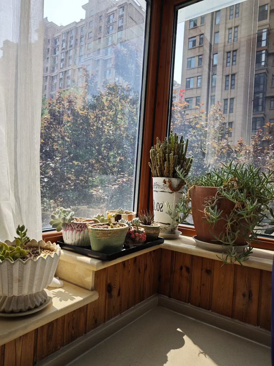 milkq908174's tweet photo. Moving from a cramped city studio to a sunlit apartment with a small balcony this weekend—finally have space to grow my herb garden! , https://t.co/y9JKEWVGmF