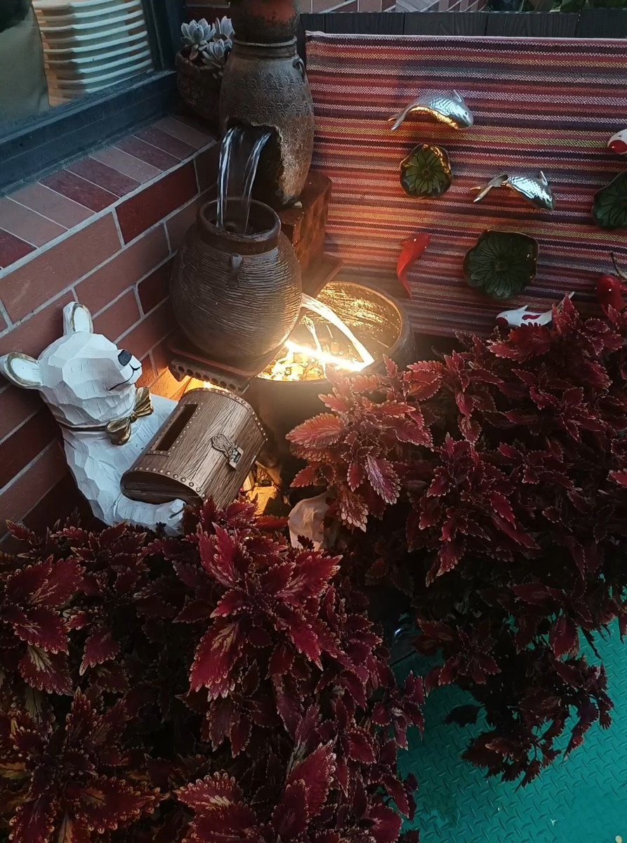 borar651762's tweet photo. [Today’s Diwali glow fills every corner—lights on, hearts full, and sweet treats ready to share ] https://t.co/NlR8In6d5r