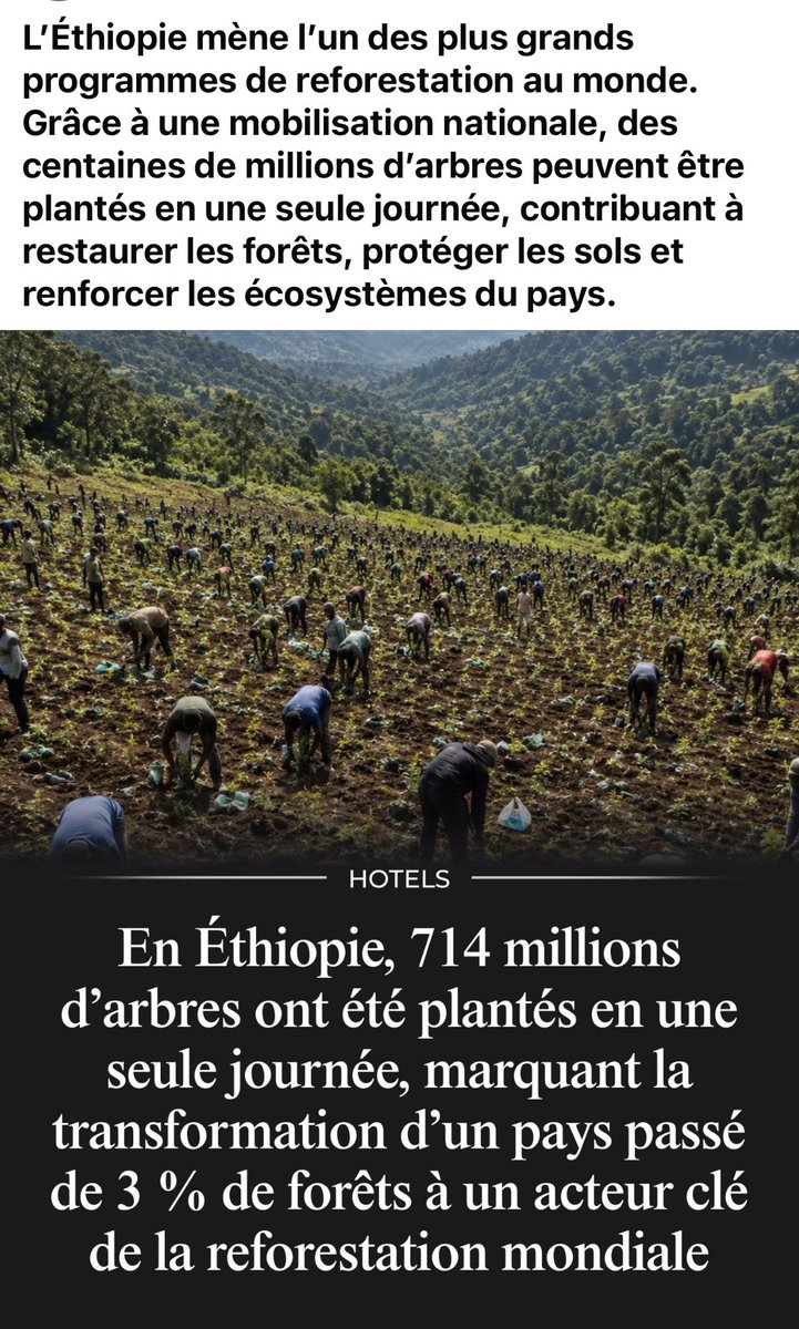 HChalvignac's tweet photo. En Éthiopie, ils font exactement l’inverse de nous. https://t.co/SmcxOZEEiy