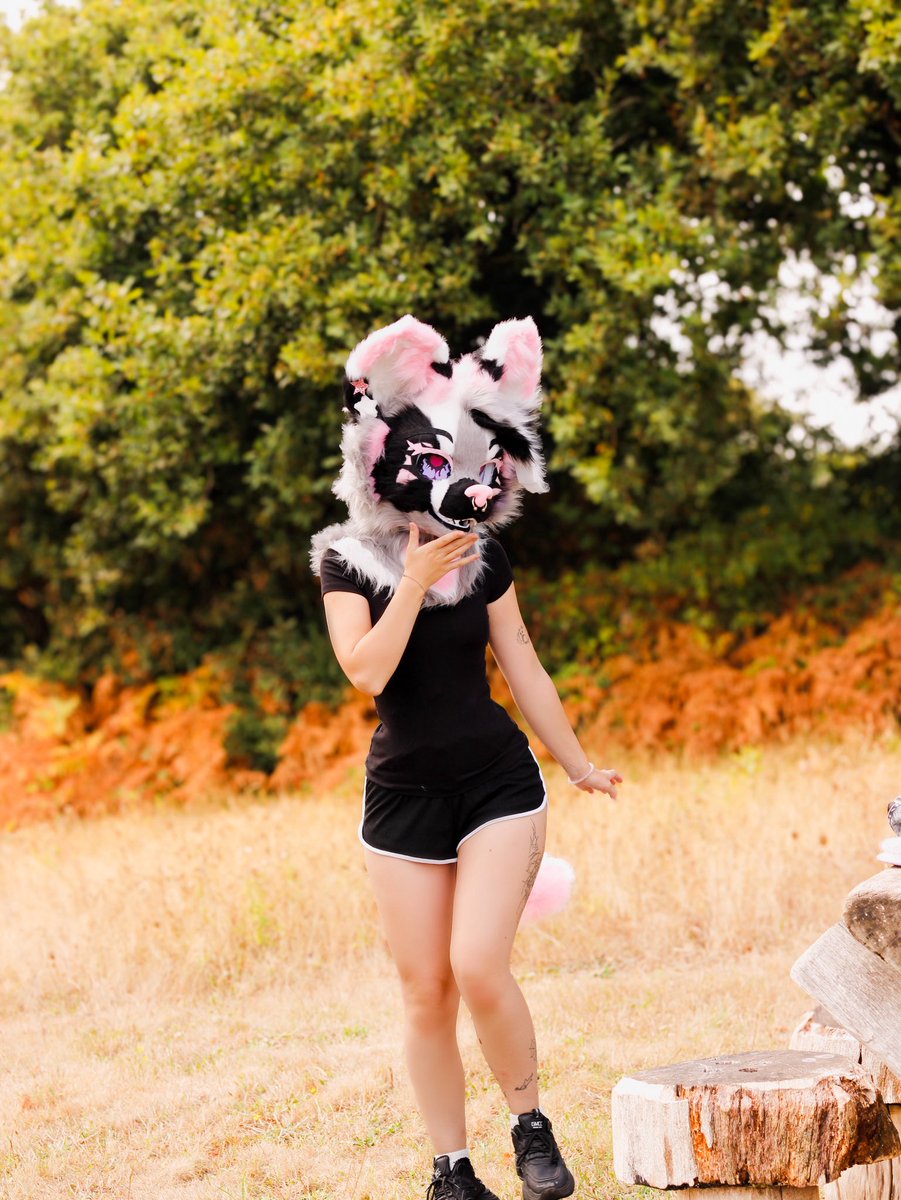 TM_Pawz's tweet photo. You found me, what now? 👀🌸

#furry #furrygirl https://t.co/2HLs4sjYB7