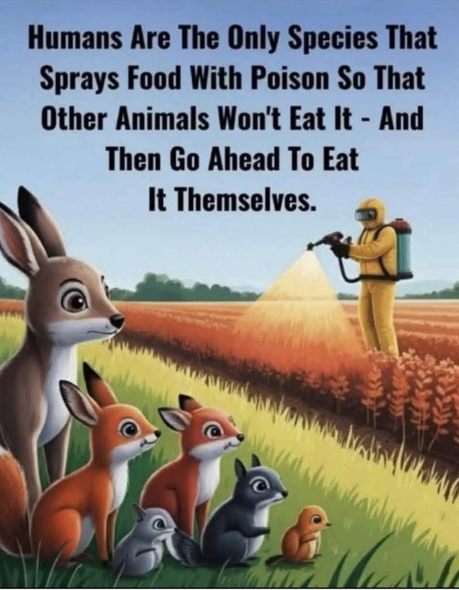 drdenwalker's tweet photo. So true👇🏾👇🏾👇🏾 https://t.co/XVvnfWlko5