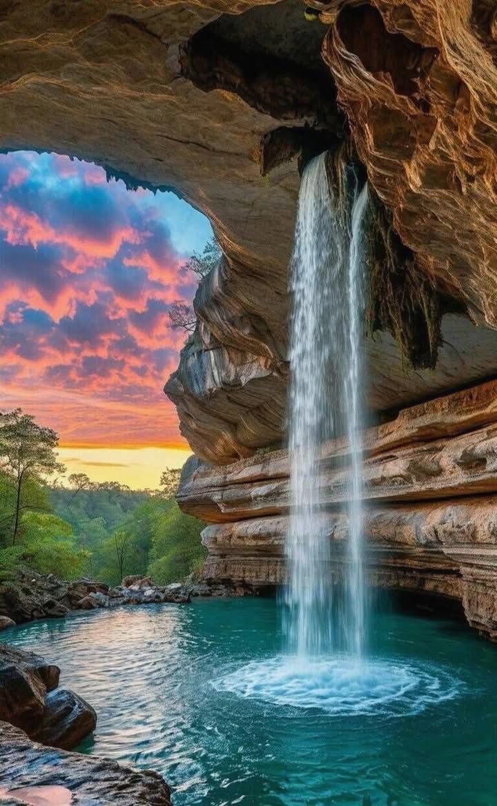 viola_fran52429's tweet photo. Your consistency will eventually become your victory.99yybb 🌺 🧢 🍄 🍁 🚩 https://t.co/lL8oJ8R3z0