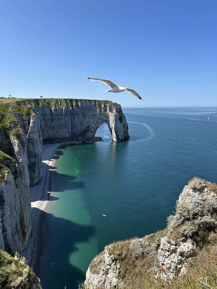 naturalbeautyi7's tweet photo. Normandie, France https://t.co/yqqmFZSSns