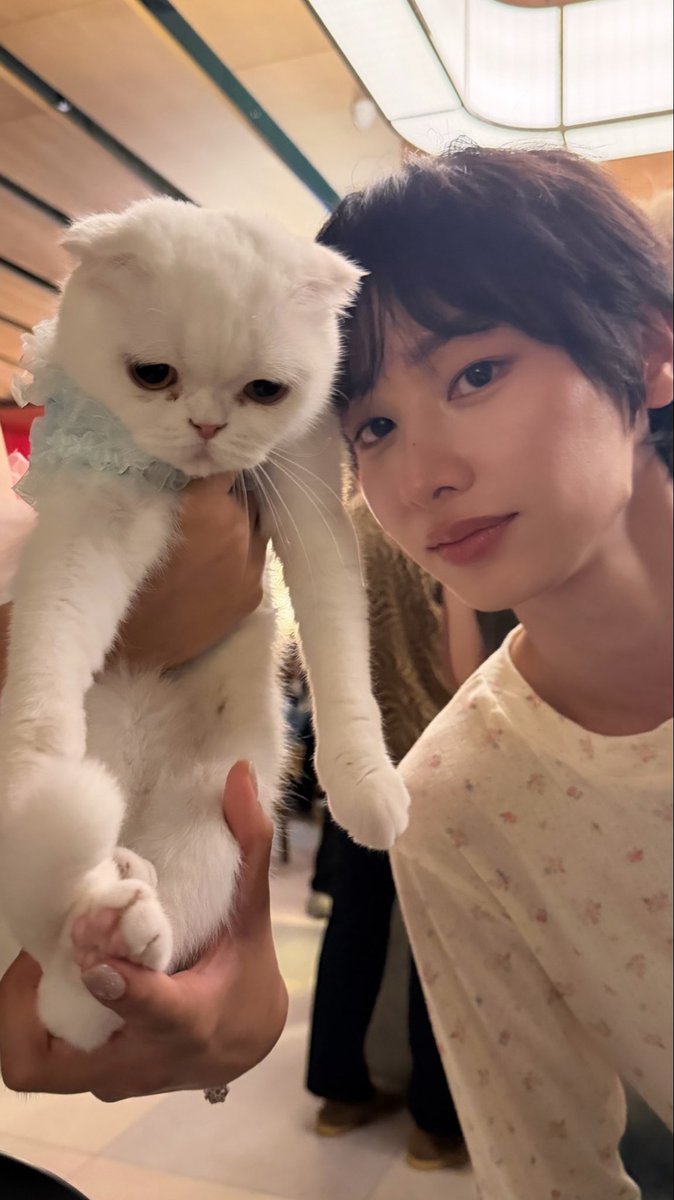 gunshineday's tweet photo. ทำไมภาพนี้มีแมวฉองตุว🐱🐈

@AtthaphanP 
#กันอรรถพันธ์ 
#GunAtthaphan https://t.co/Uf7Y9EZyp2