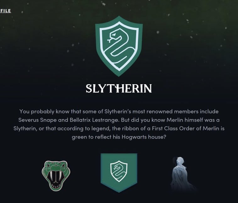 reneeblink's tweet photo. NOOO WAAAAY
я всегда была гриффиндорцем🦁 but it’s okay to be in slytherin, i love draco and snape 
а вы в каком hogwarts house? https://t.co/ryLmfOsuZX