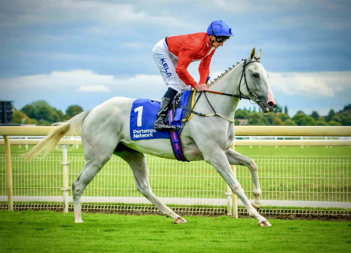 mjyharris's tweet photo. Estrange.

Happy retirement.

One of those fillies that you really take to as soon as you see her. She has a magical connection with her lass Charlotte and when an animal doesn’t have the control of their lives that we do their dependency on someone who loves and cares for them is so important for their happiness and their security.