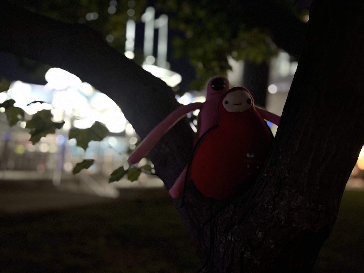 PepoAndMabel's tweet photo. Late nights are always peaceful with people you love. https://t.co/lySMZvqn0y