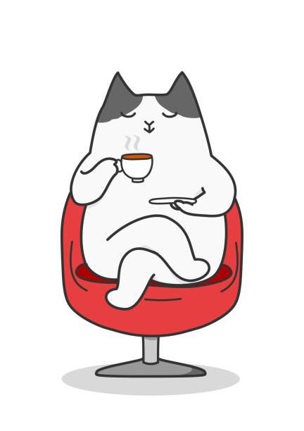 hasayamc's tweet photo. 森の小道で愛猫と🐱🌲 https://t.co/Vi8c8ms5kU