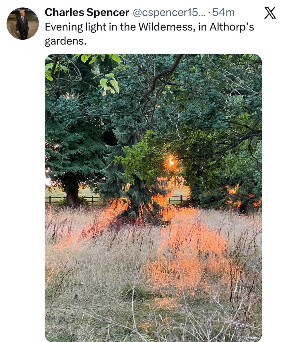 ShakeLS's tweet photo. Charles Spencer, Earl Spencer Princess Diana's brother enjoying the evening light in Althorp. Just like Princess Diana s grandson was enjoying it a few weeks ago. I just love Lord Spencer. https://t.co/c6Gdd0cfPA