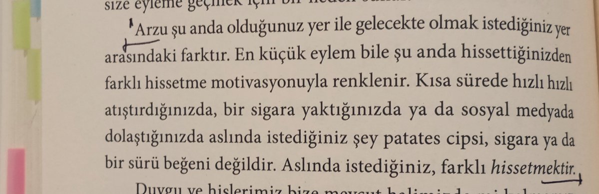 electrotulayy's tweet photo. şiddetli bir arzu, daha derinde yatan bir güdünün dışa vurumudur. canınızın son derece lahmacun çekmesini 'hayatta kalmak için yiyeceğe ihtiyacım var' şeklinde yorumlamazsınız. ama lahmacun yemeye motive olmanın sebebi hayatta kalmak için yemek gemek zorunda olmaktır. https://t.co/oSTyFztZvB