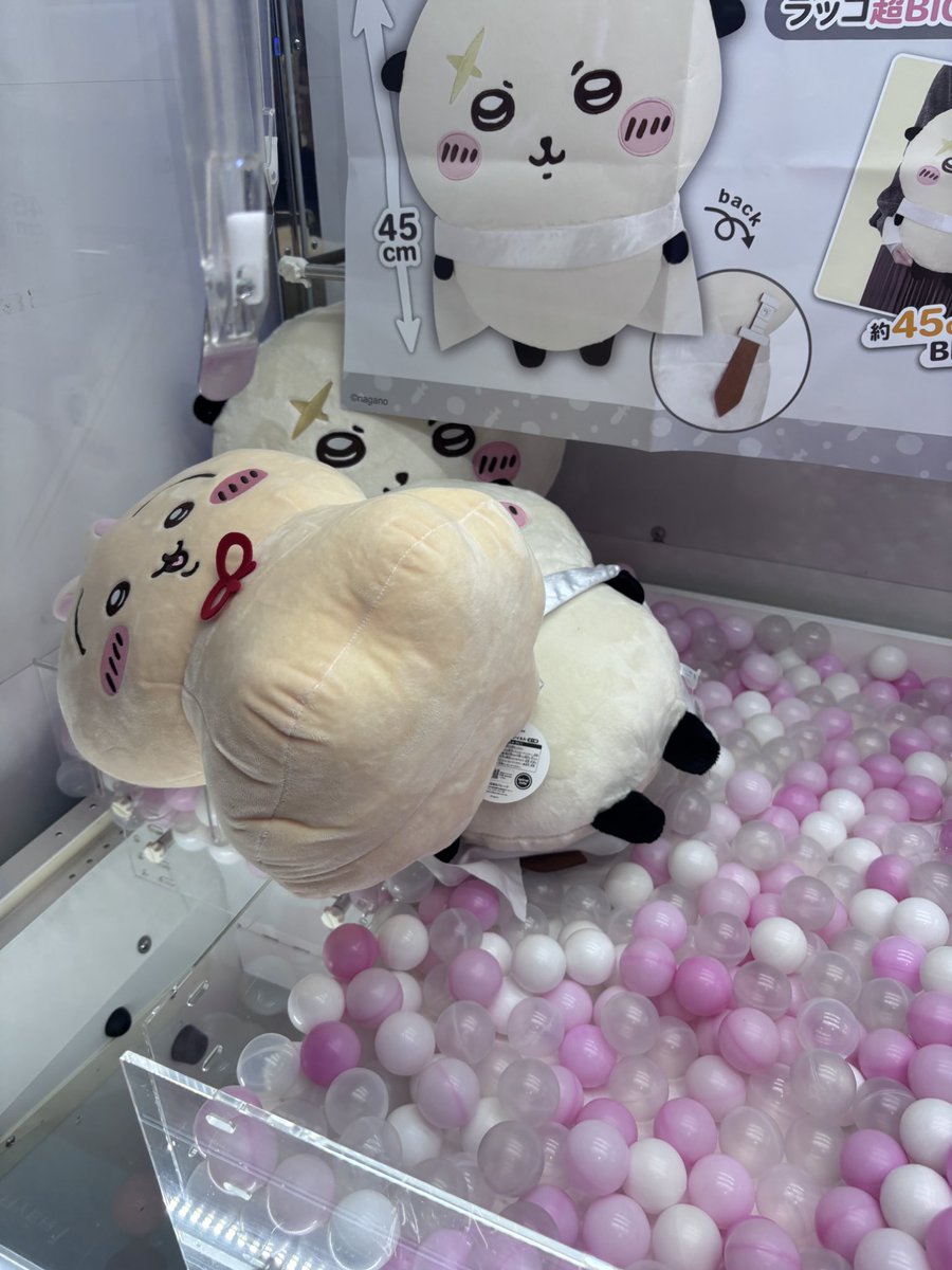 xmwozm's tweet photo. 인형뽑기 개못해서 5천엔 태우고있으니까 
직원분이 옮겨주심 그래도 못뽐았더니 랏코로 지지대 까지 만들어주셔서 뽑음 
정말ㄱㅅ합니다 아름다운 여성분 https://t.co/Alym0x5U2I