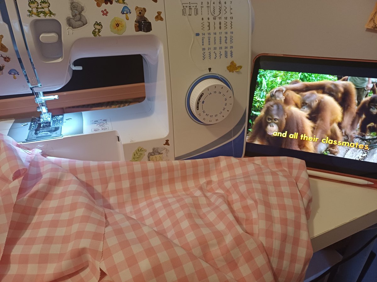 monkeymillieo's tweet photo. PERFECT SET UP https://t.co/zN6bVpHhv0