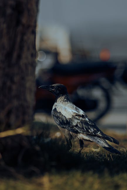 EveretteOlaud's tweet photo. تقدير تبادل الجودة. لك! لقد شكلت رؤيتك محتوى شكرًا الشخصية. شكرًا لك. mozelle burian https://t.co/poRwKjklq3