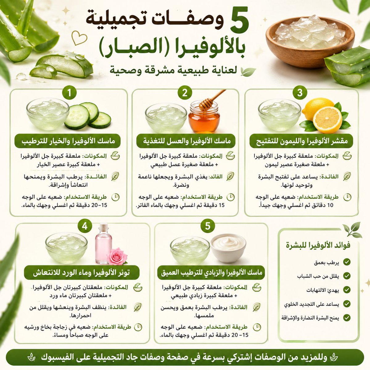 jadrochdi's tweet photo. وصفات من الاويفيرا للعناية بالوجه #جمالك  #الجمال  #التجميل  #التجميلية #وصفات  #الصحة  #العلاج  #الاعشاب  #البنات   #النساء  #المرأة https://t.co/tbAu667n0R