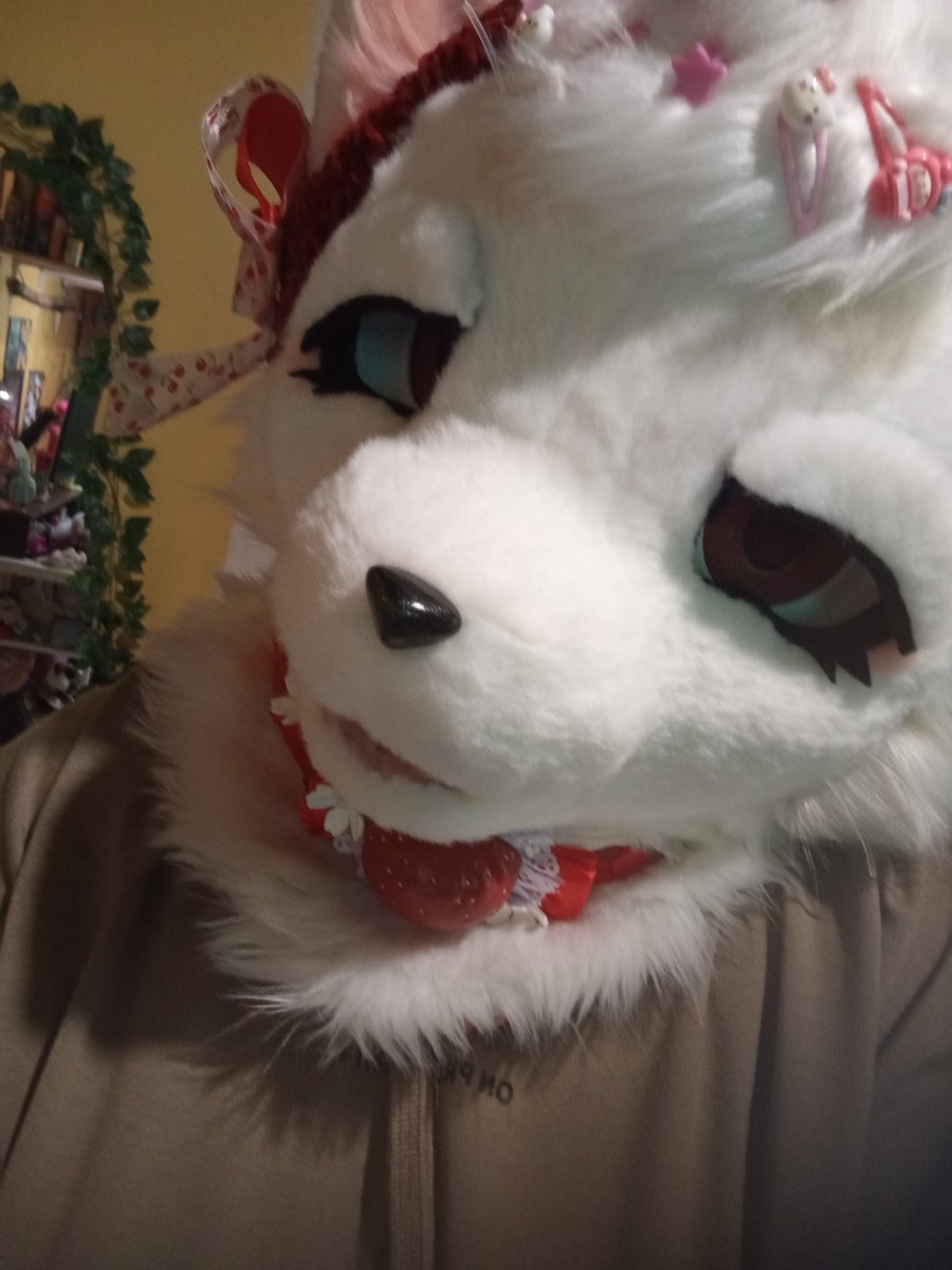 drhouse_owo's tweet photo. stupid cat- ��✨ #fursuit #fursuitfriday #furryㅤㅤㅤ https://t.co/EcaEomU738