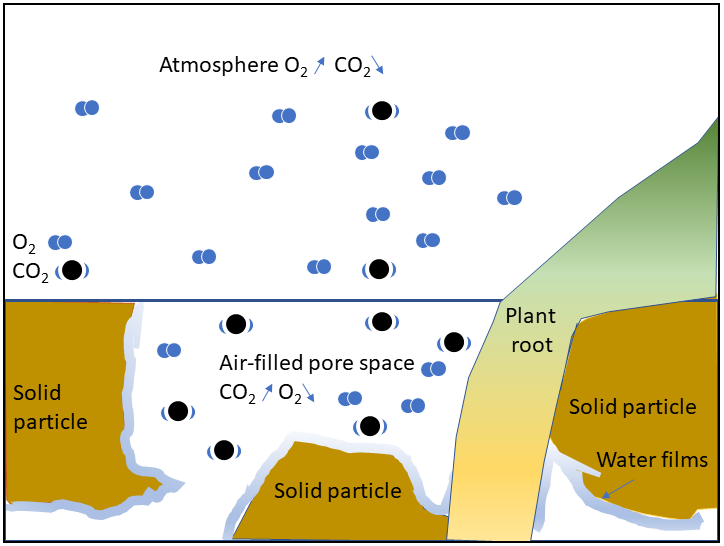 CSSS_Soils's tweet photo. Soil physics can help us solve a range of soil-related environmental challenges, like bylaws requiring a minimum 30 cm topsoil thickness, based on a study by soil scientists to reduce the environmental aspects of development. Learn more in this blog post: https://t.co/kG34iWjoJm https://t.co/kcaRLTad0a