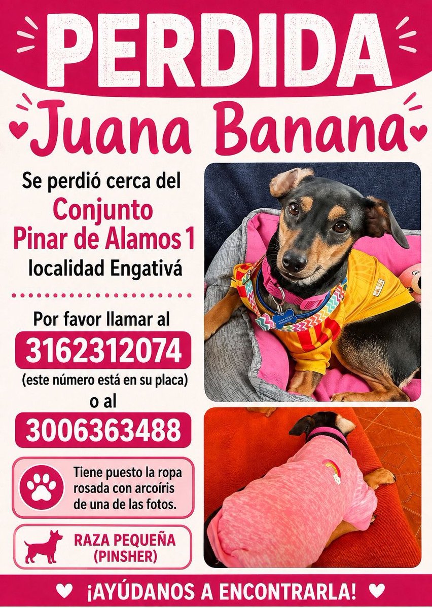 AnimalesBOG's tweet photo. Ayudemos a encontrar a Juana Banana.🔎🐾

Por favor comparte.🙏 https://t.co/ORJVeAsrUo