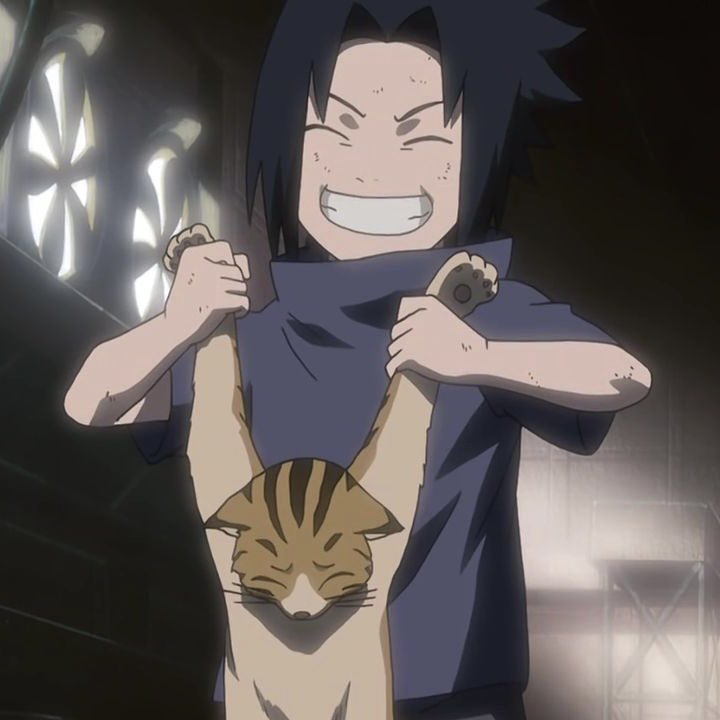 sasukedailydose tweet picture