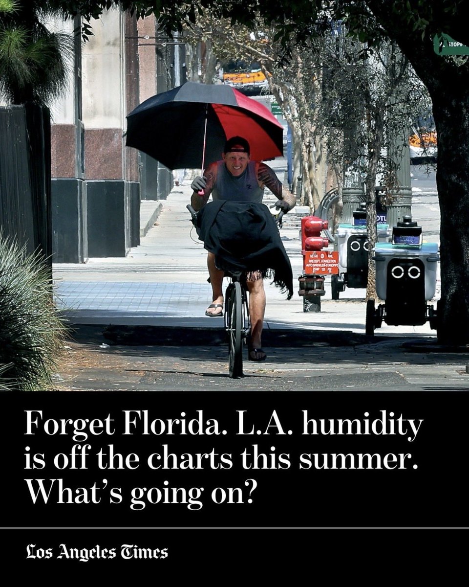 Diana_in_Winter's tweet photo. ๐จ๐งฌMy Norwegian, German, English, Scottish genes have not properly prepared me for this weather. Iโm dyingโฆ #SoCal #LosAngeles #Humidity #TooHotForMe #AutumnPlease https://t.co/6uIF91SQQu