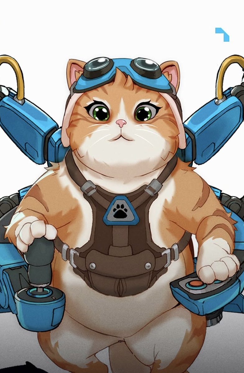 jetpackcatt's tweet photo. meowwww 🥹🐾 https://t.co/JyWUnTgfYA