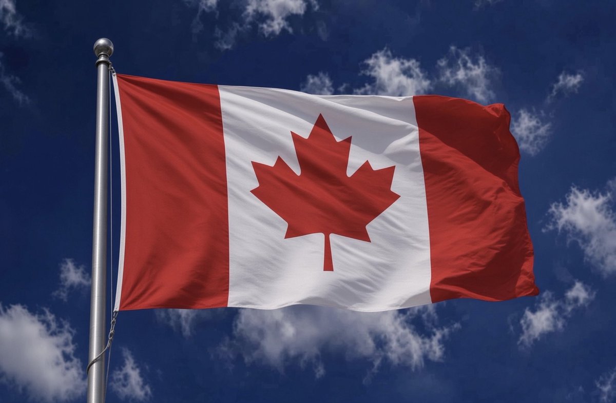 JoelVinette's tweet photo. Canada needs your support, we need to maintain a strong army of people by our side. Calling everyone on Team Canada to proudly flood the comment section with our flag 🇨🇦 and retweet please. This is the time to show your solidarity. I know it’s hard, but we must keep fighting.💪 https://t.co/N0WLmv6GFy