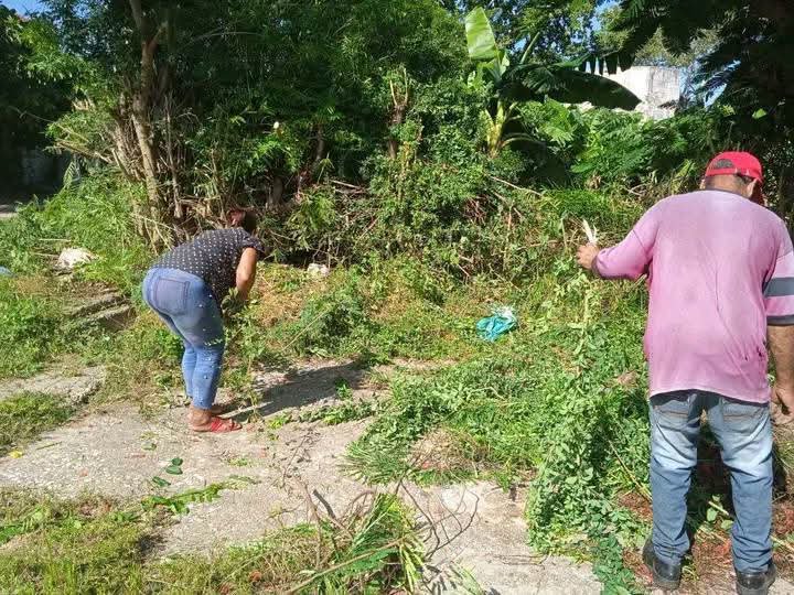 CubaMES's tweet photo. ✨🇨🇺 Los trabajadores del CUM de #Campechuela de la @Universidad_UDG  desarrollaron actividades por el día de la Defensa Nacional y retomando la organización, limpieza e higienización para el inicio del curso académico 2026-2027.

¡Éxitos! 👍 

ℹ️📷 #UDGranma
#UniversidadCubana https://t.co/JIuHDvQRz0