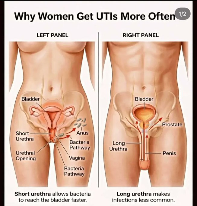 HealthNutri_HQ's tweet photo. https://t.co/vJifphgsVd